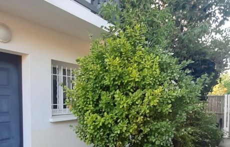 Appartement / Maison T3 en duplex avec terrasse à vendre à Gujan-Mestras | Agence immobilière toutes transactions à Gujan-Mestras (33)